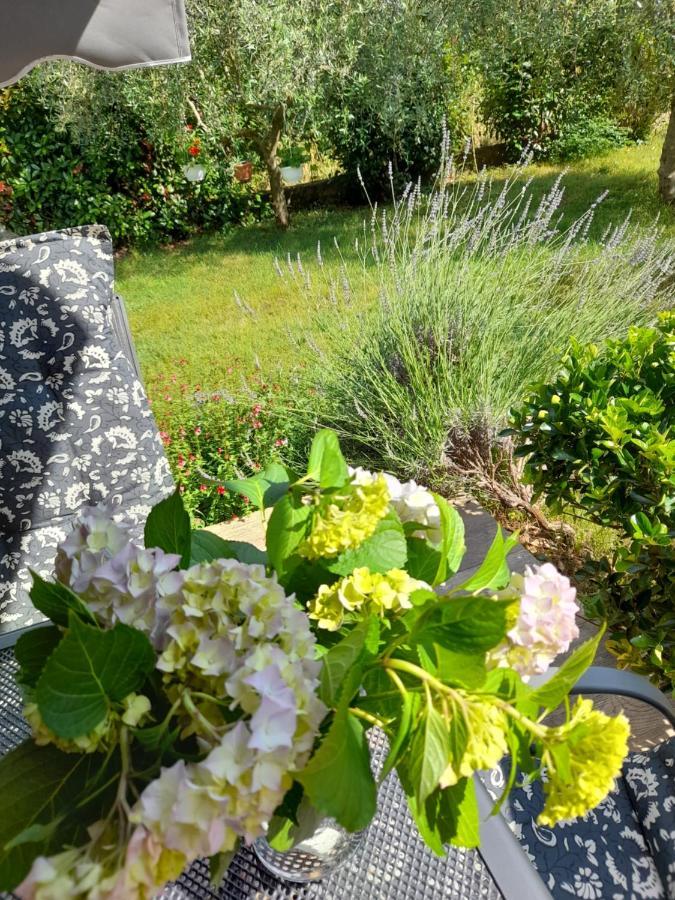 Villa Iva بوريتش المظهر الخارجي الصورة