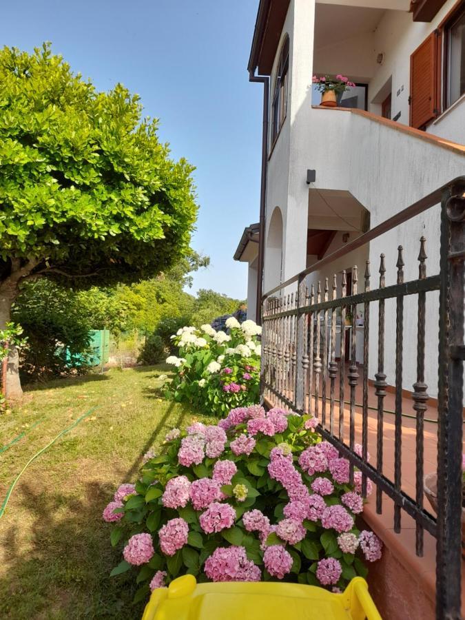 Villa Iva بوريتش المظهر الخارجي الصورة